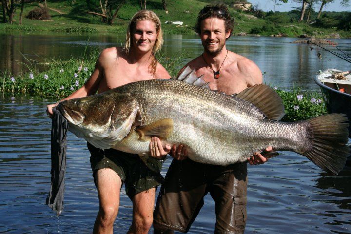 Striped Bass Hybrids
