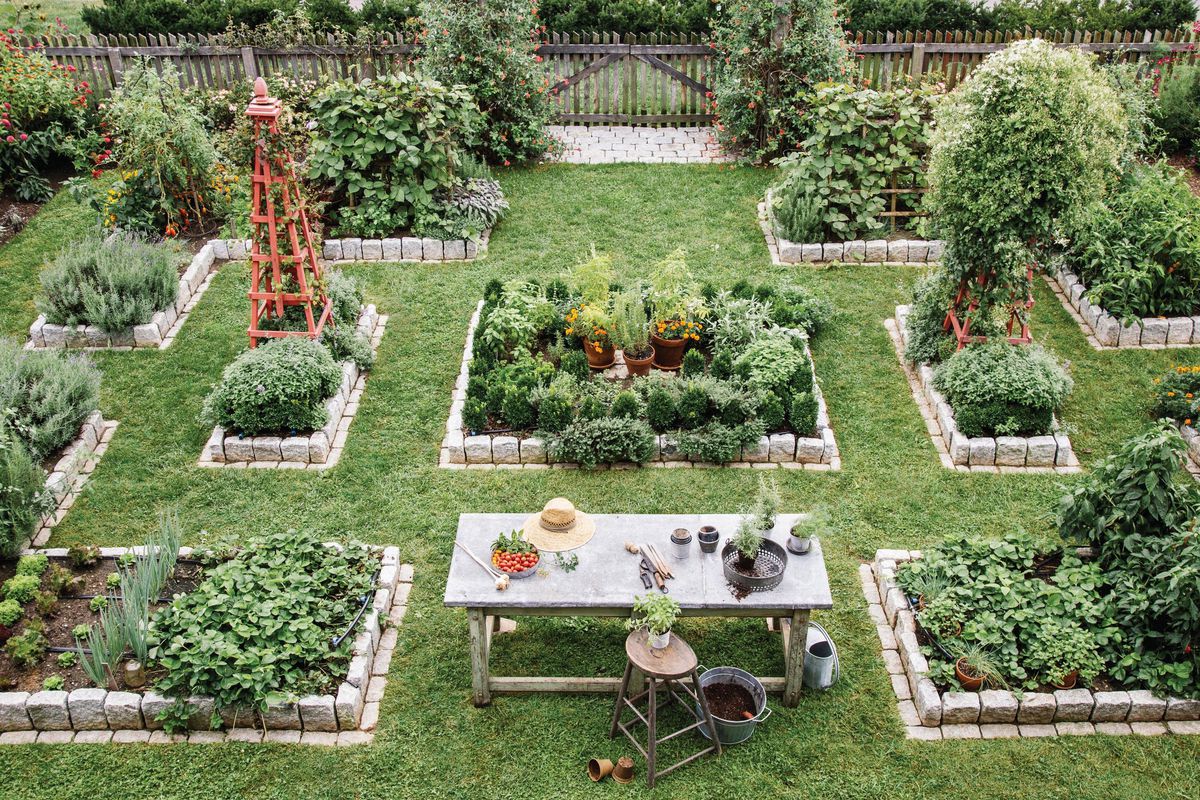Tips for designing a kitchen garden

