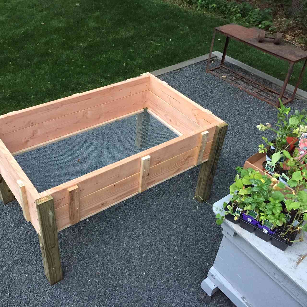 vegetable container gardening ideas