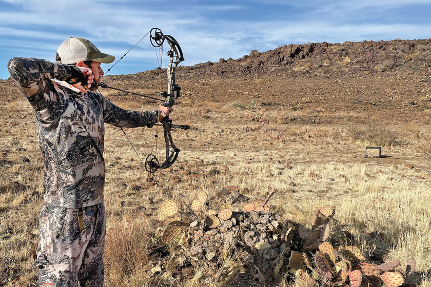 moose hunting in colorado