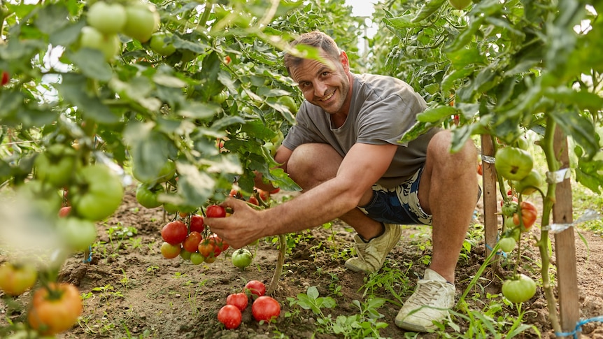 proper gardening techniques