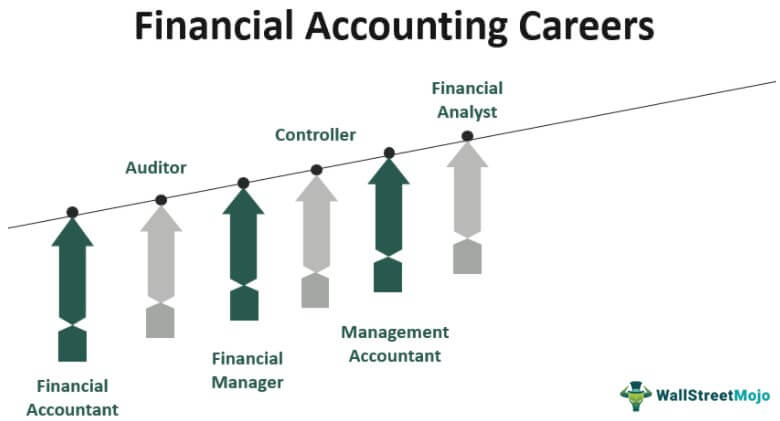 accounting career path australia