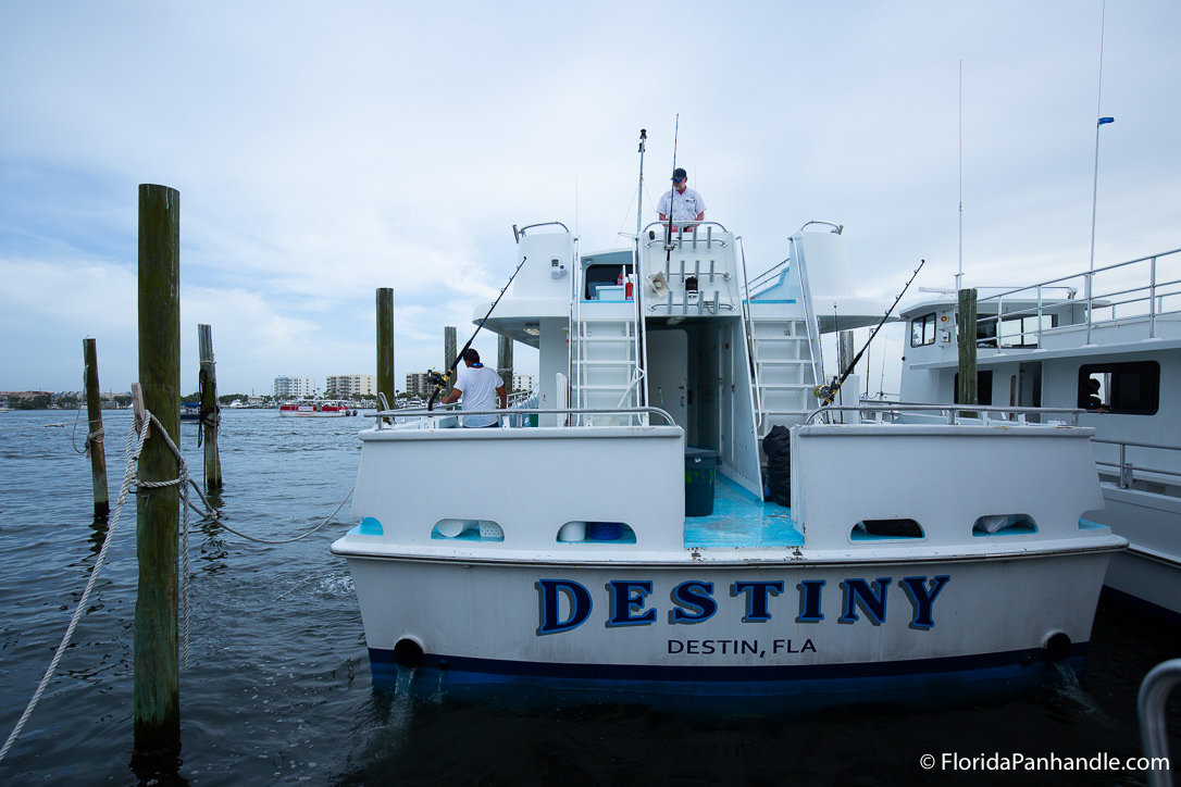 Tips For King Mackerel Fishing
