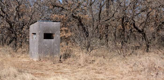 spring bear hunt arizona